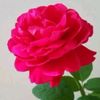 saidul.khan989