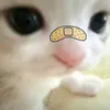 llssl11