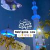 user5556182600149