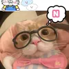 nguynbo1111