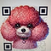 pinkpoodle03