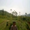 bishwoacharya05