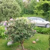 micha.leszczyski32