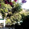 juandiaz55247