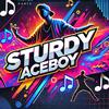 sturdy_aceboy