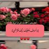 user58068219077194