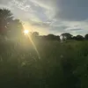 henrykell3