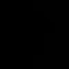 lena_sk4041