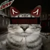 kocmkoc