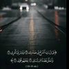user8335812278659