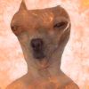 labendicion1232_