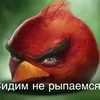 main_izgoev_bs
