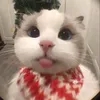 goodboy112212