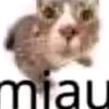tuptamadre101