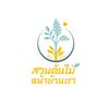 สวนต้นไม้หน้าบ้านเรา
