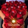 leydirobles25