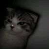 feby23453