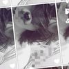 notmystyle_931