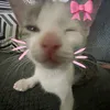 alinkvix