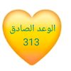 jihan.elgarib