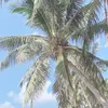 Mê decor