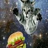bigfatkittyscat