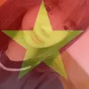 embebioverthinking_bnho