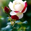 user45973530598207