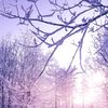 mohamed.hany9856