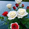 marivic09958