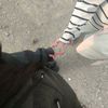 atrisa.abidi