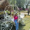 __silvana.al.ali__