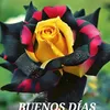 claudia90500