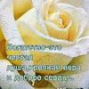 abdugafur9247