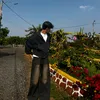 thawlh1
