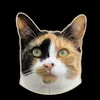 purrfect.molly