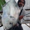 BROO fishing BALI