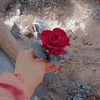 mariamatia706