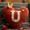 umaribrahimusman268995gm