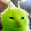 alien_cat36