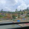 pak.bos131