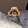 vdarh.da.den