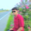 sifat1453