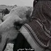 ijazkhan7719