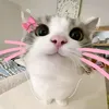 ahlyma.kaoybs
