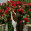 shada.suleiman