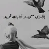 user8657845115150