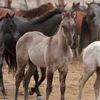 Painted Desert Ranch