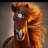 .jassim.b