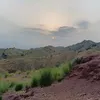 ihatetiktok4808